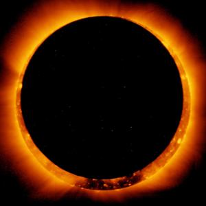 Extraexistenz: Die Metamorphose