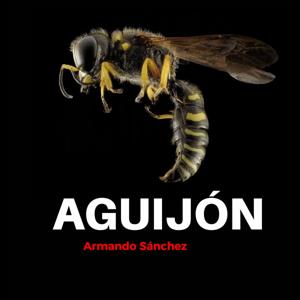 AGUIJÓN