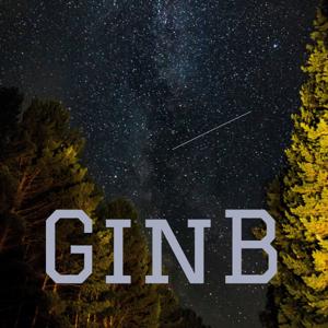 GinB