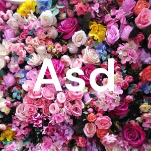 Asd