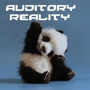 Auditory Reality