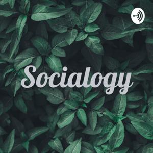 Socialogy