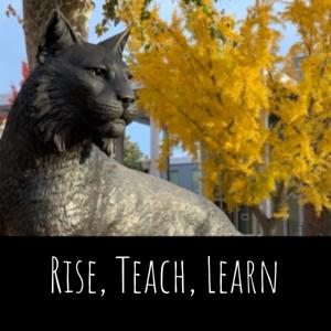 Rise, Teach, Learn