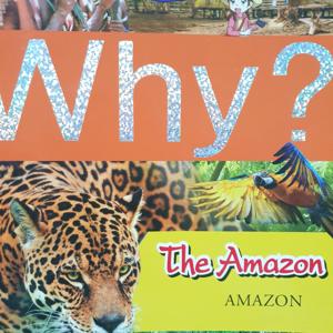 Podcast-The Amazon-Jaden5B-Kinderfield Depok