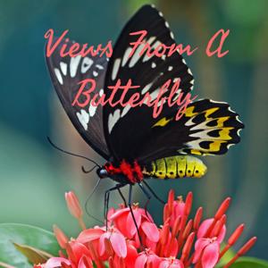 Views From A Butterfly