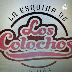 Colochos