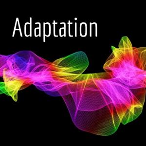 Adaptation