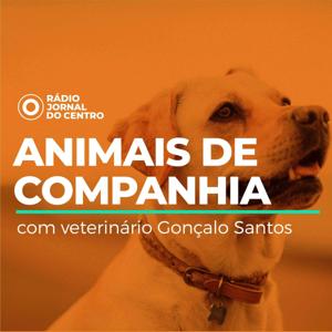 Animais de Companhia