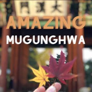 Amazing Mugunghwa