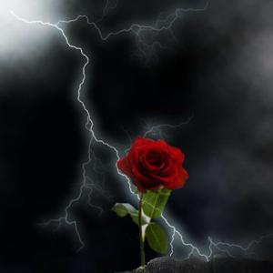 BeautyFull Dysfunction