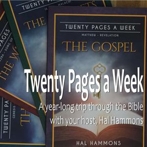 Twenty Pages a Week