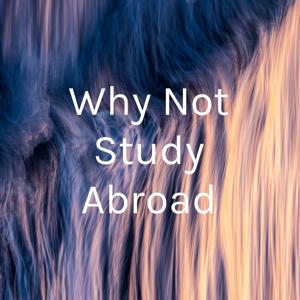 Why Not Study Abroad