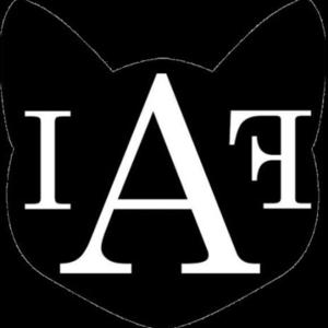 NÓS GATOS / ARTE , CULTURA E INFORMAÇÃO