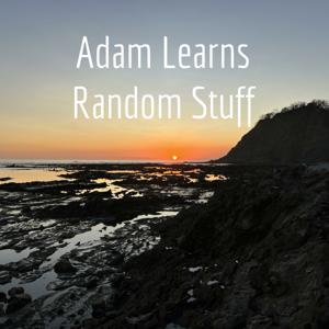 Adam Learns Random Stuff