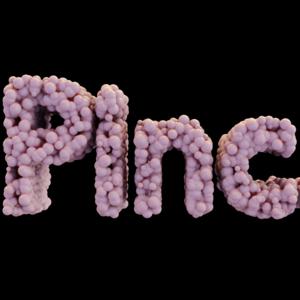 Pinc.Podcast