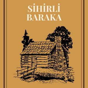 Sihirli Baraka