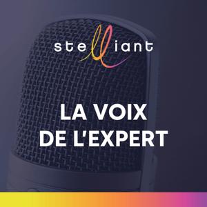 Stelliant | La voix de l'expert