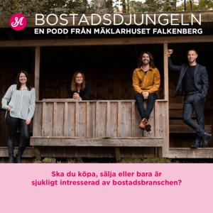 Bostadsdjungeln