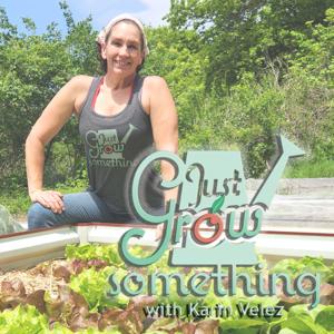 Just Grow Something | The "Why" Behind the "How" of Gardening by Karin Velez