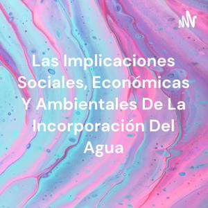 Las Implicaciones Sociales, Económicas Y Ambientales De La Incorporación Del Agua