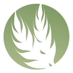 NP Berean Sermons Podcast