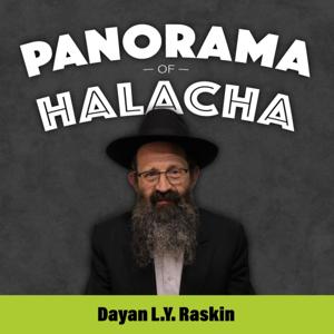 Panorama of Halacha by Panorama of Halocho