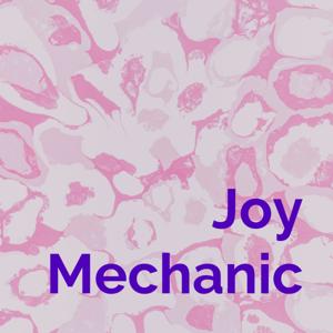 Joy Mechanic