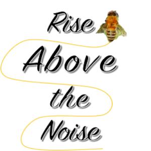 Rise Above the Noise