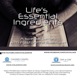 SS-Life's Essential Ingredients (2020)