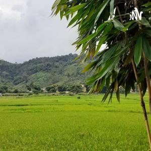 Belajar Tentang Islam