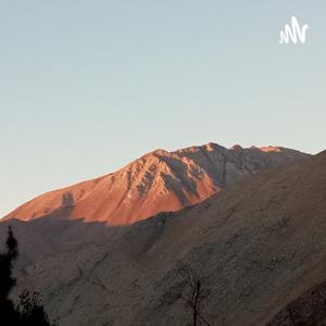 Trailer Amigos Del Valle De Elqui