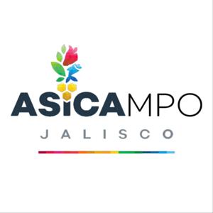 ASICAMPO