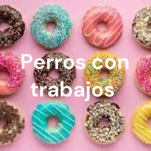 cosas intersantes de doughnuts