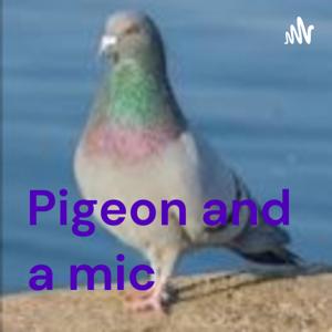 Pigeon and a mic