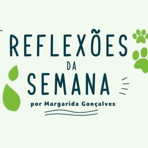 Reflexões da Semana - por Margarida Gonçalves