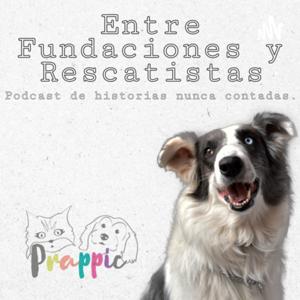 Entre fundaciones y rescatistas by prappic