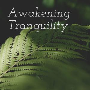 Awakening Tranquility