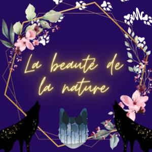 La beauté de la nature