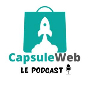 CapsuleWeb : Comprends Enfin Le Référencement Naturel et Boost ton site web.