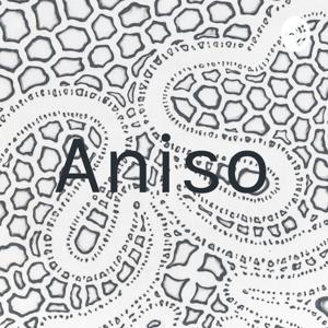 Aniso