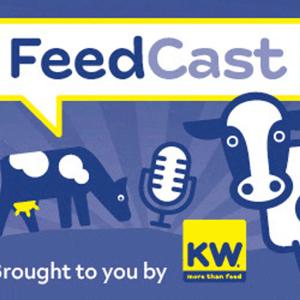 KW FeedCast