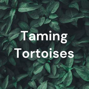 Taming Tortoises