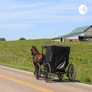 Answers About the Amish