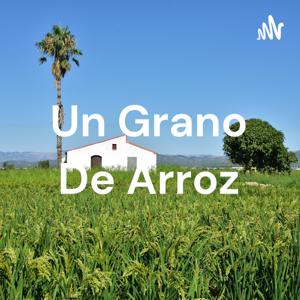 Un Grano De Arroz