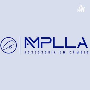 AmpllA - O Mercado Em Ação