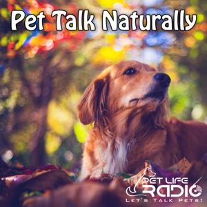 Pet Talk Naturally - Caring For Our Pets Naturally - Pets & Animals on Pet Life Radio (PetLifeRadio.com) by Kim Bloomer & Jeannie Thomason