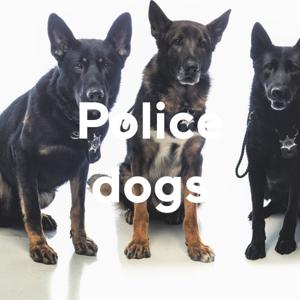 Police dogs