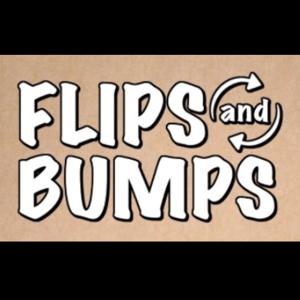 Flips and Bumps by Flips & Bumps