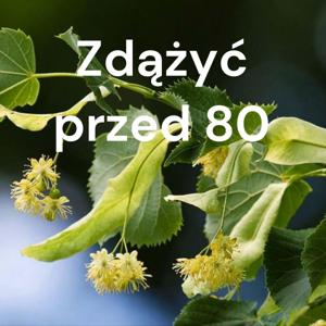 Zdążyć przed 80