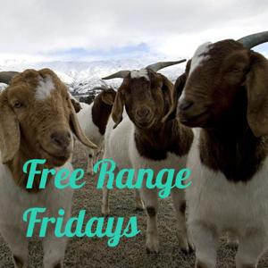 Free Range Fridays